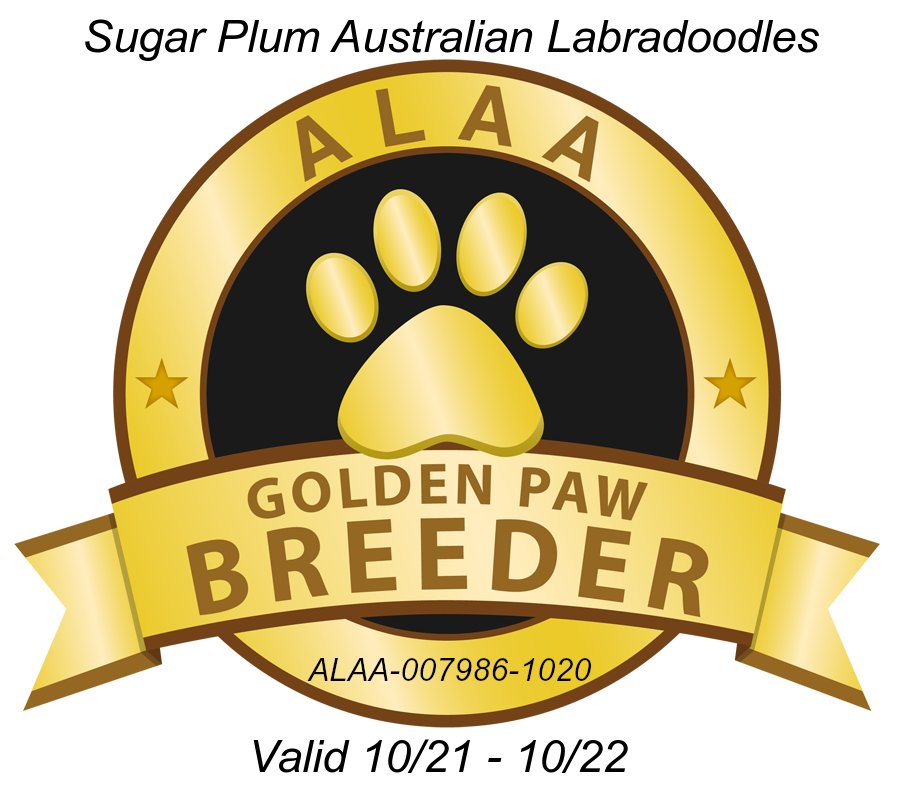 Golden Paw Breeder